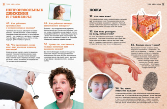 Тело человека