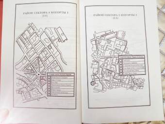 Саманта Шеннон: Каста мимов