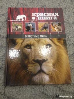 Скалдина, Слиж: Красная книга. Животные мира