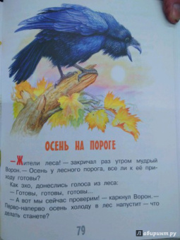 Николай Сладков: Сказки лесной опушки