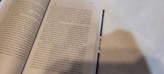 Фернандо Арамбуру: Стрижи