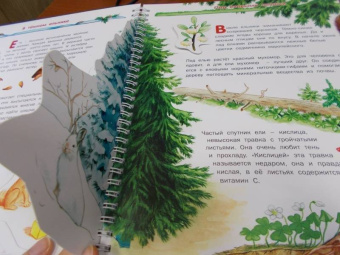 Татьяна Елумеева: Растения