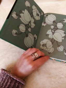 Аркадий Аверченко: Русалка