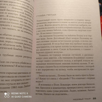 Франк Тилье: Медовый траур