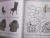 Е. Семакина: Рабочая тетрадь дошкольника. Логика. Сравниваем предметы. ФГОС