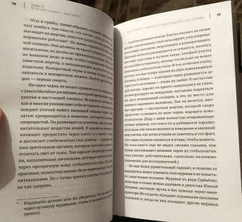 Мэтт Саймон: Трудная жизнь зомби