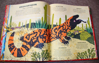 Ико Ромеро: Ядовитые животные. Кто, зачем и как использует яды в дикой природе