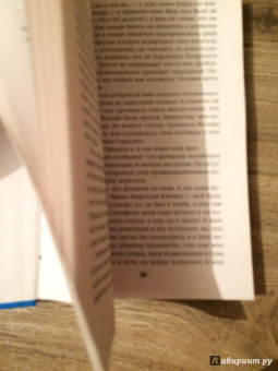 Иоанна Хмелевская: Зажигалка