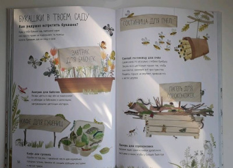 Зоммер, Тейлор: Большая книга букашек