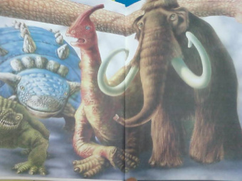 Ордынская, Собе-Панек, Першин: Хочу все знать!