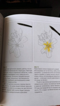 Ханс-Кристиан Санладерер: Цветочный скетчинг. Как создавать быстрые зарисовки цветов и растений