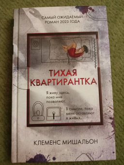 Клеменс Мишальон: Тихая квартирантка