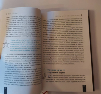 Тея Сабин: Викка для начинающих. Основы философии и практики