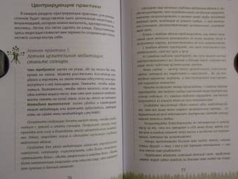Лаура Конивер: Целительные рецепты Земли. Методы заземления для любого времени года