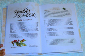 Михаил Вишневский: Грибы. Атлас-определитель