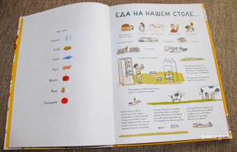 Юлия Дюрр: Откуда берется еда?