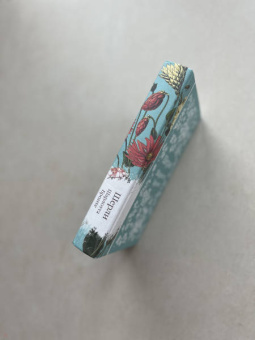 Шарлотта Бронте: Шерли