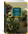 Виктория Токарева: Самый счастливый день. Рассказы
