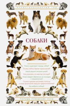 Ирина Барановская: Собаки. Иллюстрированный гид