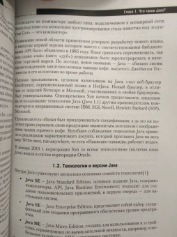 Сеттер, Яшин: Java на примерах. Практика, практика и только практика