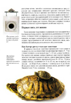Райнер Прашага: Красноухие черепахи. Содержание и уход