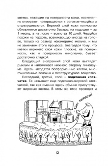 Борис Сергеев: Как устроен человек