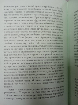 Андреас Хазе: Деревья. Как жизни человека и дерева переплетены друг с другом