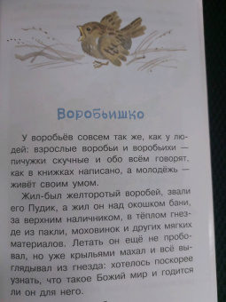 Максим Горький: Случай с Евсейкой. Сказки