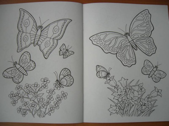 Татьяна Коваль: Цветы и бабочки