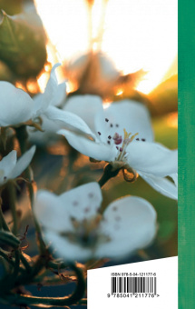 Марина Цветаева: Вчера еще в глаза глядел...