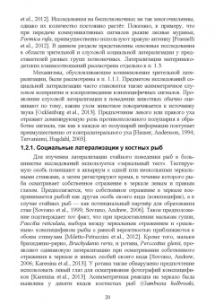 Каренина, Гилев, Малашичев: Асимметрия мозга и материнско-детские взаимоотношения млекопитающих
