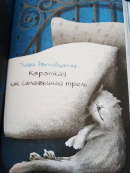 Анна Игнатова: Принцесса Торнада