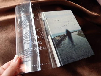 Лайза Джуэлл: И тогда она исчезла