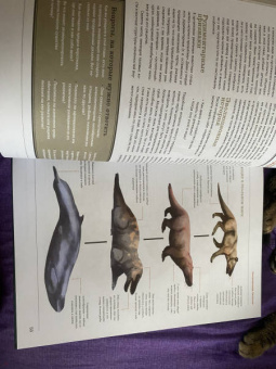 Рис, Метени, Бейкер: Создание фантастических существ. Полный курс. От разработки концепта до готового персонажа