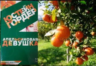 Юстейн Гордер: Апельсиновая Девушка