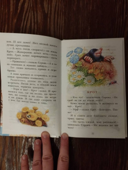 Николай Сладков: Лесные сказки