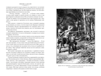 Эмилио Сальгари: Сын Красного Корсара. Последние флибустьеры