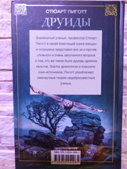Стюарт Пиготт: Друиды. Поэты, ученые, прорицатели