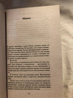 Камилла Гребе: Дневник моего исчезновения