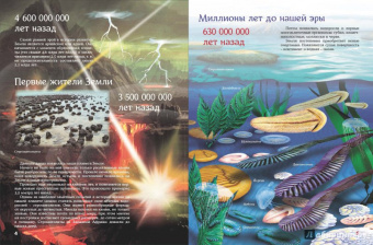 Евстигнеев, Ященко: Кто на свете старше динозавра... или Почему киты живут в воде, а слоны на суше?