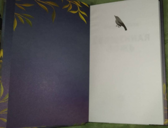 Стефани Оукс: Священная ложь