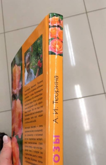 Александра Теорина: Розы. Моё увлечение