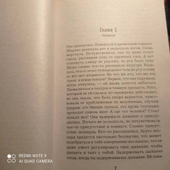 Ю Несбё: Леопард