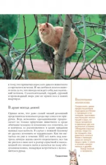 Николай Непомнящий: Все о кошках