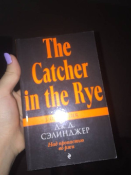 Джером Сэлинджер: Над пропастью во ржи