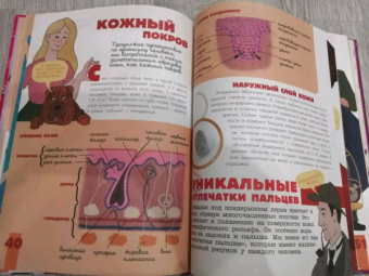 Дубынин, Сергеев: Тело человека