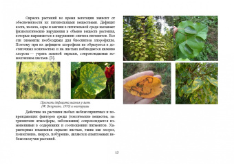 Ковешников, Силаева, Ковешников: Колористика в садово-парковом и ландшафтном строительстве. Учебное пособие