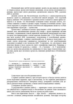 Зеленевский, Зеленевский, Щипакин: Анатомия и физиология сельскохозяйственных животных. Учебник для СПО