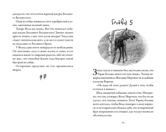 Мишель Пейвер: Хроники темных времен. Книга 4. Изгнанник
