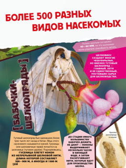Анна Спектор: Большая энциклопедия о насекомых. 500 фотографий и фактов
